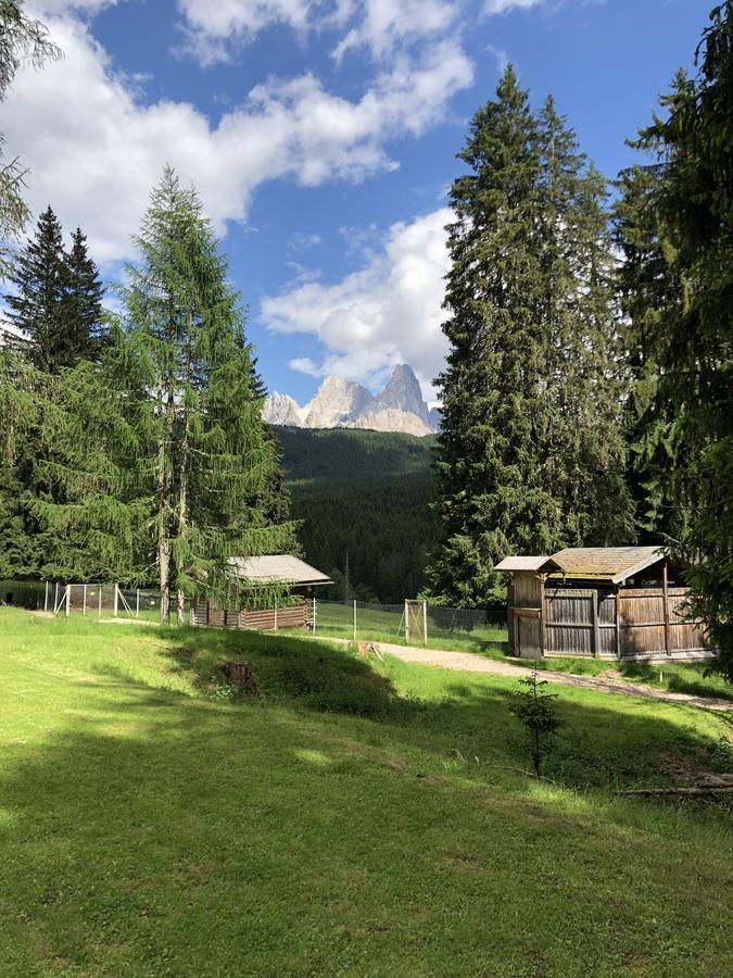 Albergo La Bicocca Paneveggio Bagian luar foto